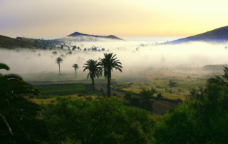 lanzarote-haria-1000-pálma-völgye-kanári-szigetek-viasale-travel