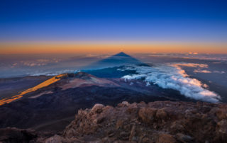 9-teny-Teneriferol