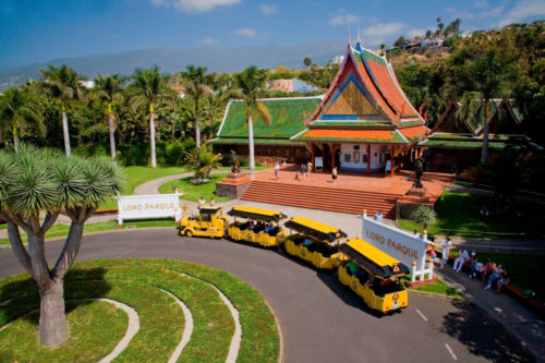 Loro Parque-világ-legjobb-állat-növényparkja-belépő