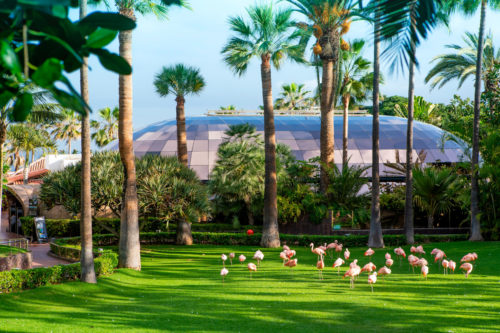 Loro Parque-világ-legjobb-állat-növényparkja-belépő
