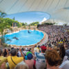 Loro Parque-világ-legjobb-állat-növényparkja-belépő