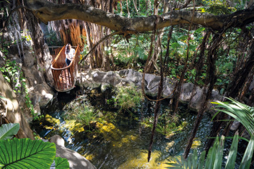 Loro Parque-világ-legjobb-állat-növényparkja-belépő
