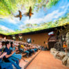 Loro Parque-világ-legjobb-állat-növényparkja-belépő