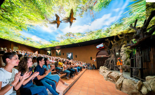 Loro Parque-világ-legjobb-állat-növényparkja-belépő