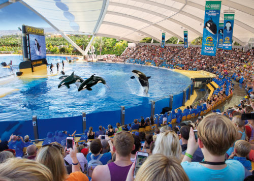 Loro Parque-világ-legjobb-állat-növényparkja-belépő