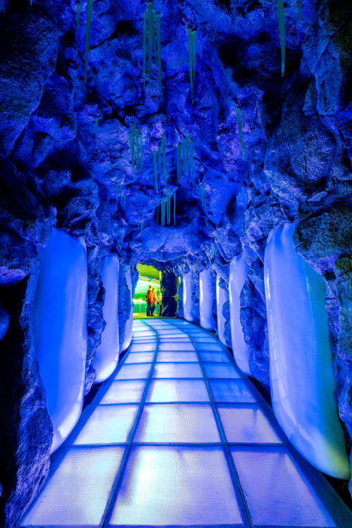 Loro Parque-világ-legjobb-állat-növényparkja-belépő