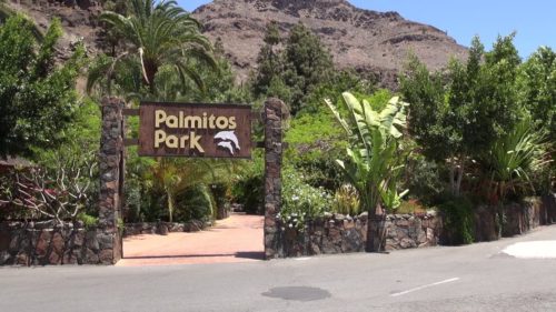 Palmitos-Park-Gran-Canaria-belépő