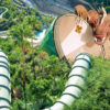 Siam-Park-belepo-világ-legjobb-aquaparkja-6