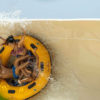 Siam-Park-világ-legjobb-aquaparkja-belépő