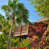 Siam-Park-világ-legjobb-aquaparkja-belépő