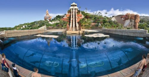 Twin ticket Siam park Loro Parque Tenerife
