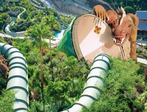 Twin ticket Siam park Loro Parque Tenerife