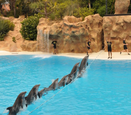 loro-park-tenerife