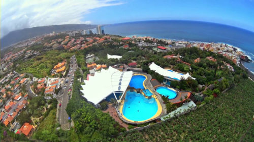 loro-park-tenerife