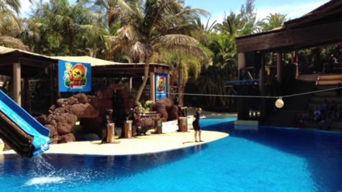 oasis-park-fuerteventura