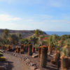 oasis-park-fuerteventura