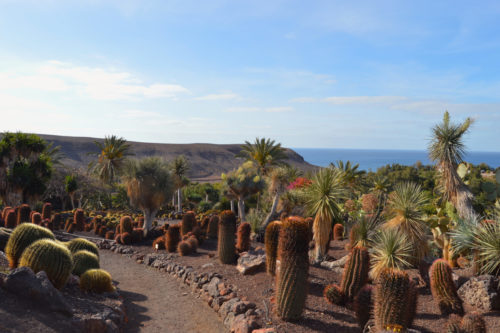oasis-park-fuerteventura