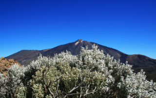Ide-el-kell-hogy-menjen-Teide-Nemzeti-Park-4