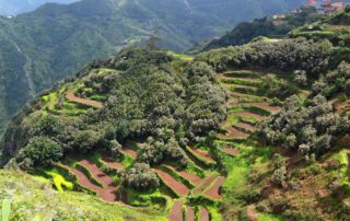 Tenerife-én-szememmel-Erre-érdemes-figyelnie-Tippek-2-rész-1