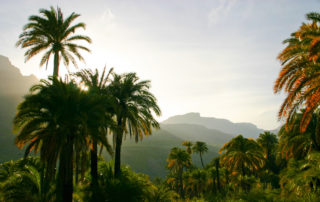 Gran-canaria-latnivalok-kirandulas-tura