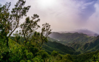 Tenerife-sokkal-több-van-benne-gondolná