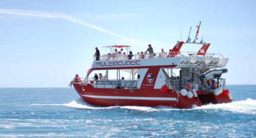Bálna-és-delfinles-katamaránnal-Grabn-Canaria