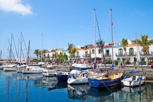 Bálna-és-delfinles-katamaránnal-Gran-Canaria