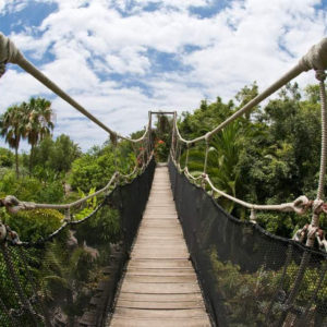 Dzsungel-Park-Tenerife-1