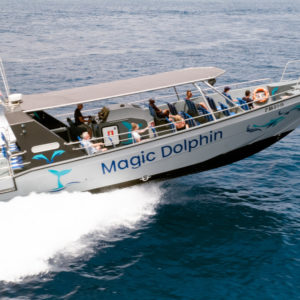 Delfin-és-bálnales-Fuerteventura-déli-részén