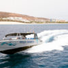 Delfin-és-bálnales-Fuerteventura-déli-részén