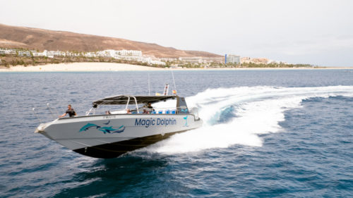 Delfin-és-bálnales-Fuerteventura-déli-részén