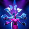 Flamenco-táncműsor-Tenerife-déli-részén