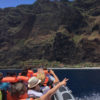 Delfin-bálnales-Madeira