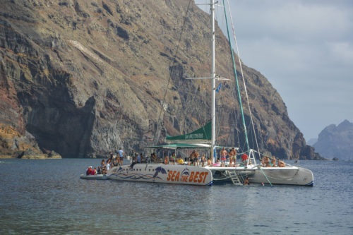 Delfin-bálnales-katamaránnal-3-órás