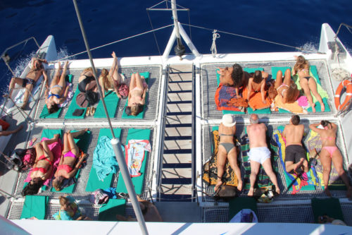 Delfin-bálnales-katamaránnal-3-órás