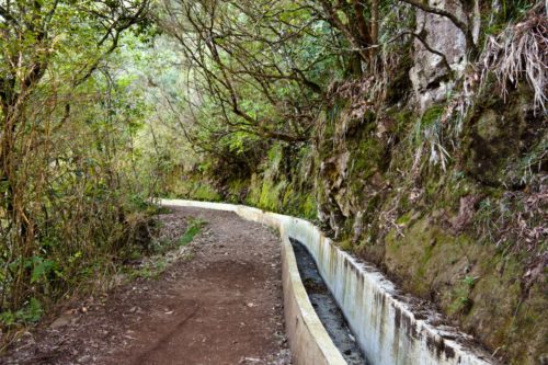 Kelet-Madeira-kirándulás-magyar-idegenvezetéssel