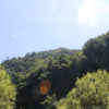 Jeep-túra-Madeira-északi-részére-borkóstolóval-8-órás