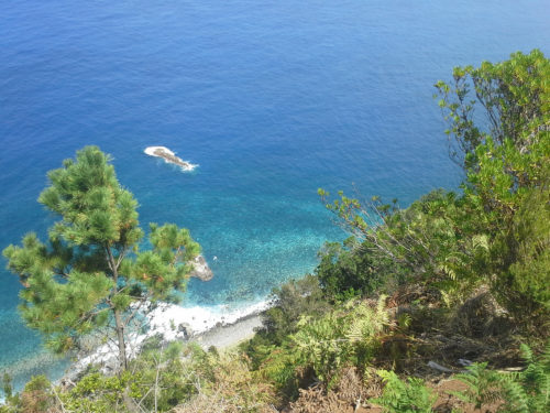 Jeep-túra-Madeira-északi-részére-borkóstolóval-8-órás