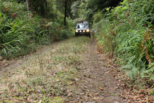 Jeep-túra-Madeira-keleti-részére
