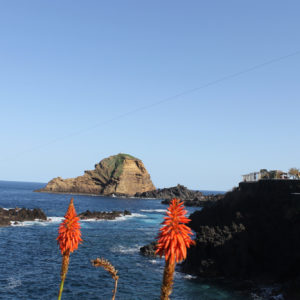 Jeep-túra-Madeira-nyugati-részére-8-órás