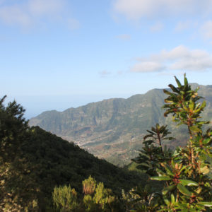 Jeep-túra-Madeira-nyugati-részére-8-órás