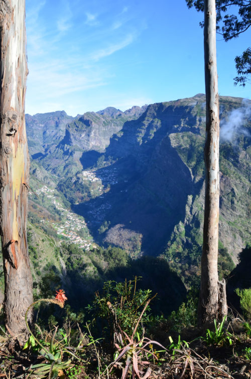 Jeep-túra-Madeira-szívébe-4-órás