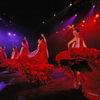 Flamenco-est-Puerto-de-La-Cruzban
