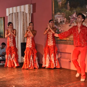 Flamenco-est-Puerto-de-La-Cruzban