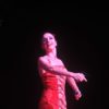 Flamenco-est-Puerto-de-La-Cruzban