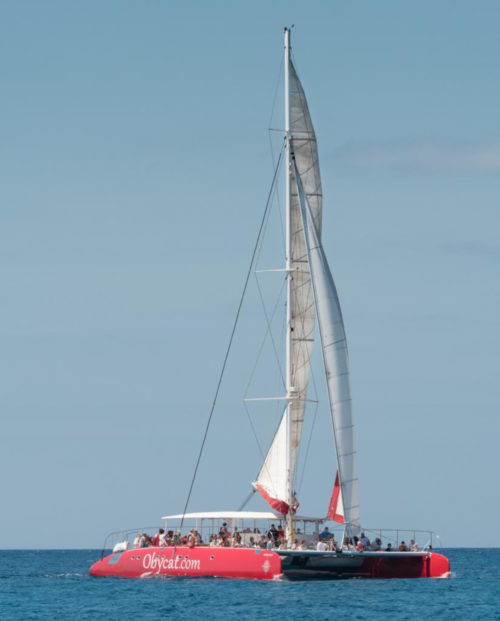 Fuerteventura-Isla-de-Lobos-katamarán-kirándulás-online-jegyvásárlás
