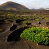 Lanzarote-szigettúra-kirándulás