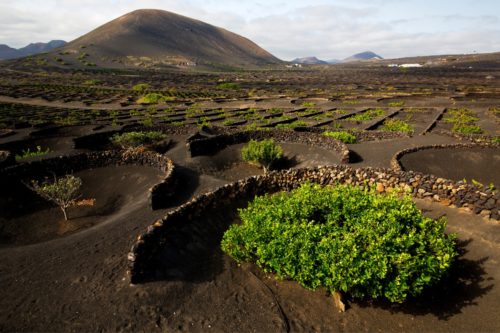 Lanzarote-szigettúra-kirándulás