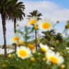 Lanzarote-szigettúra-kirándulás