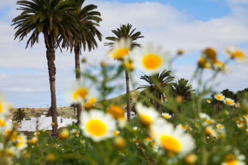 Lanzarote-szigettúra-kirándulás